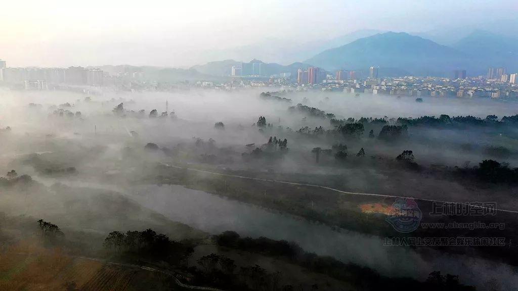 曲棍球教练逃生