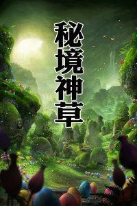 寻找遗失的光盘