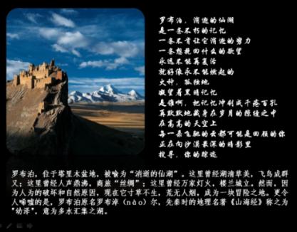 红色鹦鹉逃脱