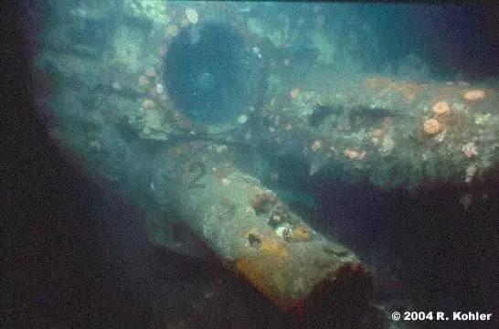 欢迎关注!郑州航空港招商引资新媒体矩阵今日上线