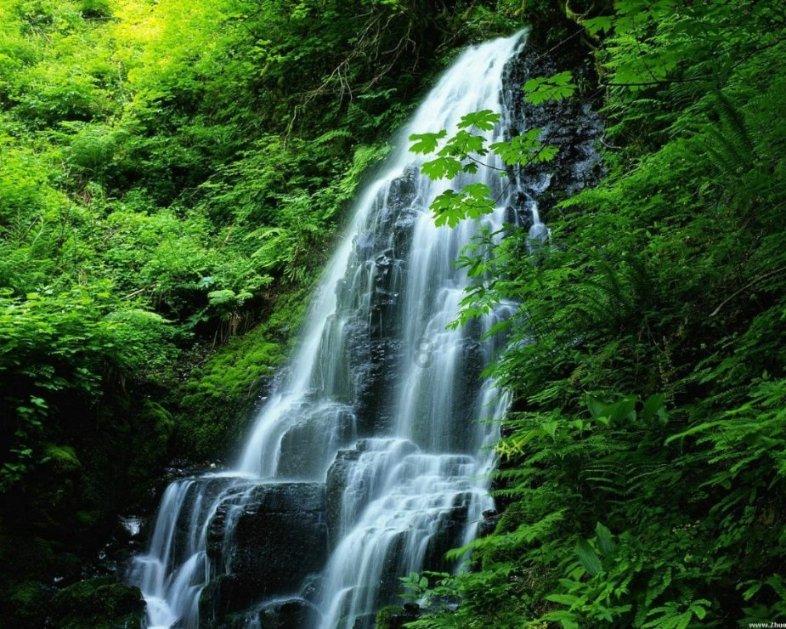 土地2.74公顷是多少亩游戏画面